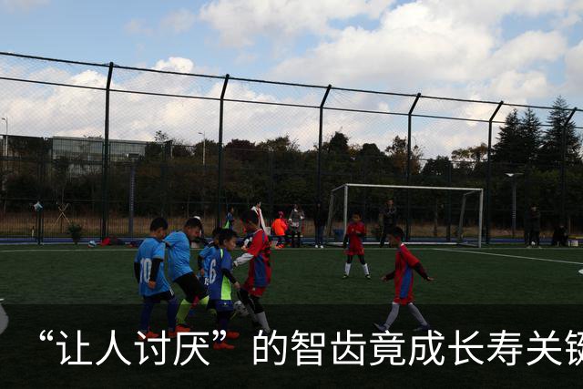 “让人讨厌”的智齿竟成长寿关键？研究：脑损伤、神经炎症通通改善