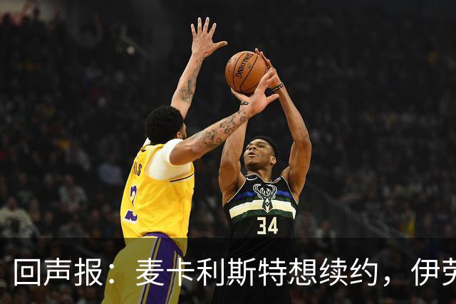 回声报：麦卡利斯特想续约，伊劳拉称赞他顶级且全面