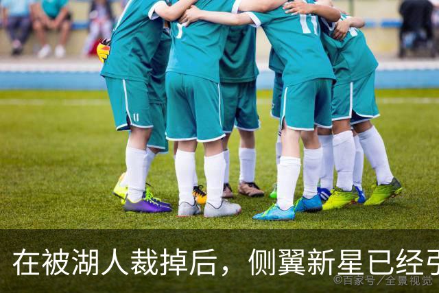在被湖人裁掉后，侧翼新星已经引起了国王、森林狼和猛龙的关注？