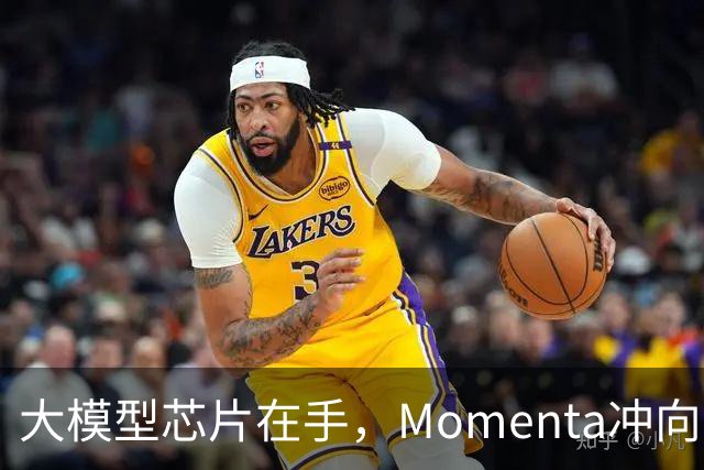 大模型芯片在手，Momenta冲向L4引爆点