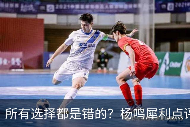 所有选择都是错的？杨鸣犀利点评崔永熙 他的话不一定全对