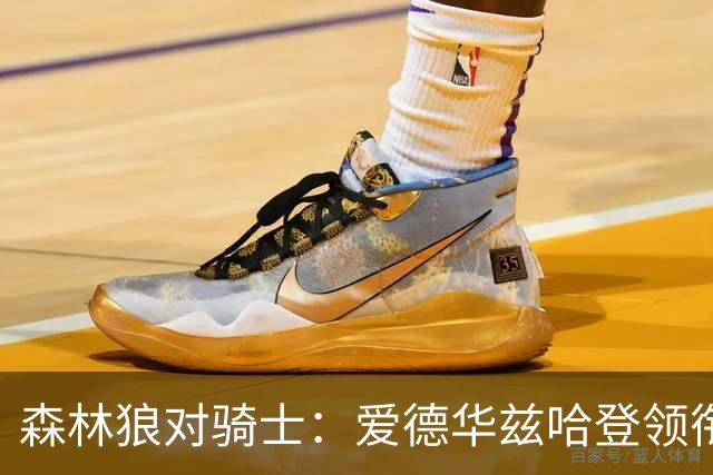 森林狼对骑士：爱德华兹哈登领衔，两队伤情成看点