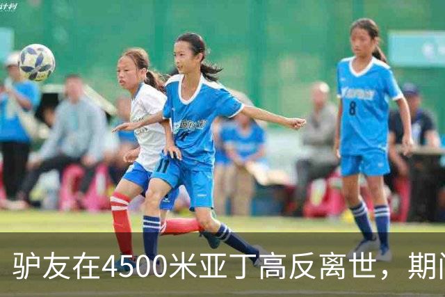 驴友在4500米亚丁高反离世，期间姐姐全网求免费直升机，牧民报价1万被她拉黑
